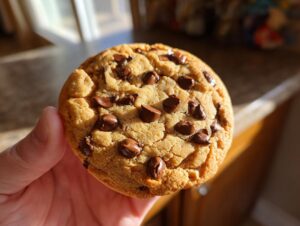 A hand holding a perfectly baked classic chocolate chip cookie with melty chocolate chips.