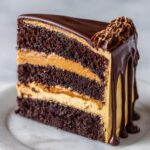 A tall slice of chocolate peanut butter cake showing three dark chocolate layers and creamy peanut butter filling, topped with chocolate ganache.